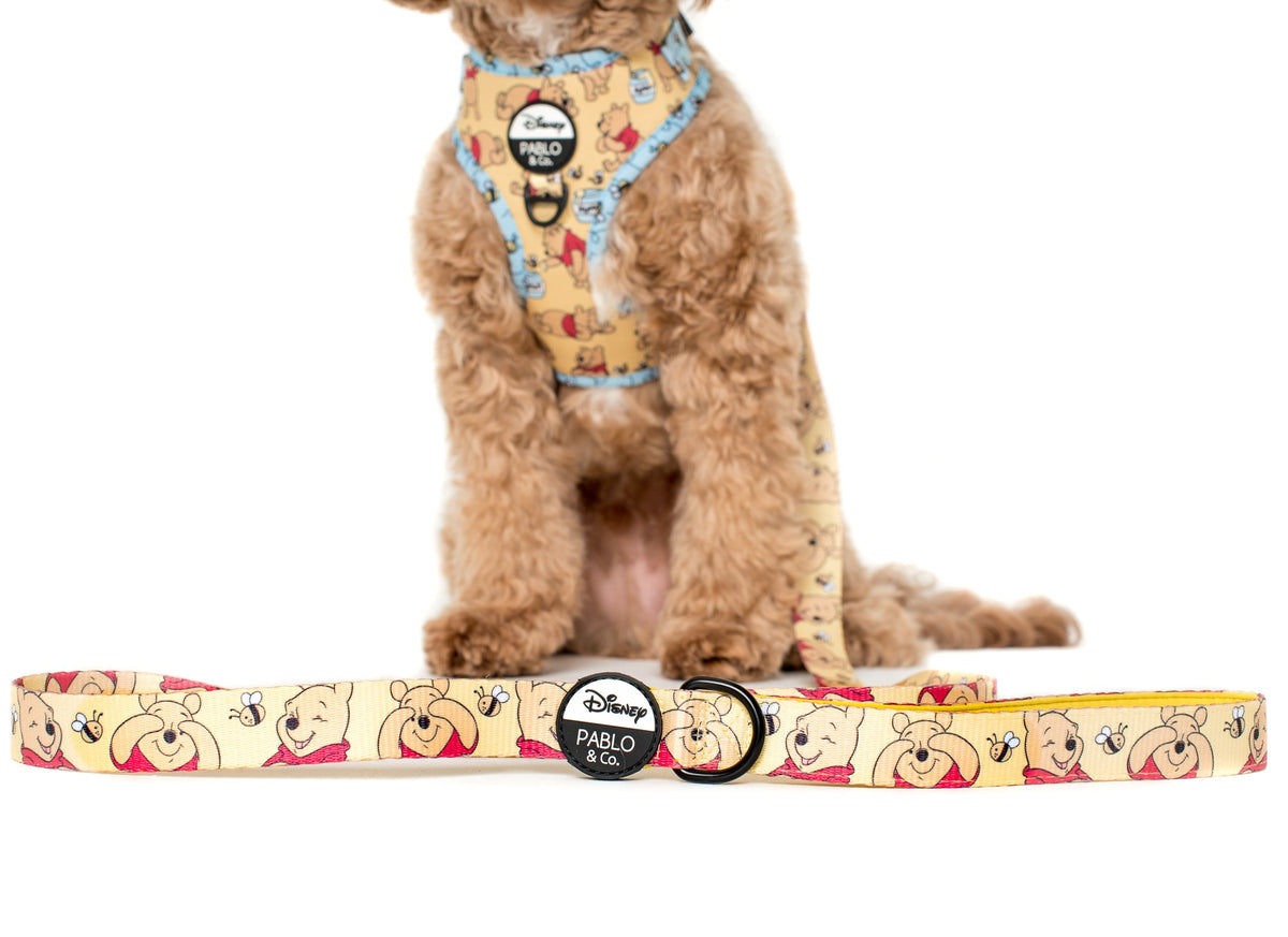Dog Leash product image 1