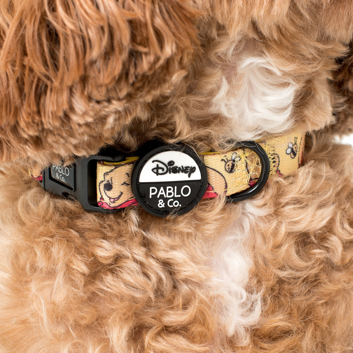 Dog Collar product image 1