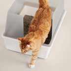 Cat Litter Box product image 2