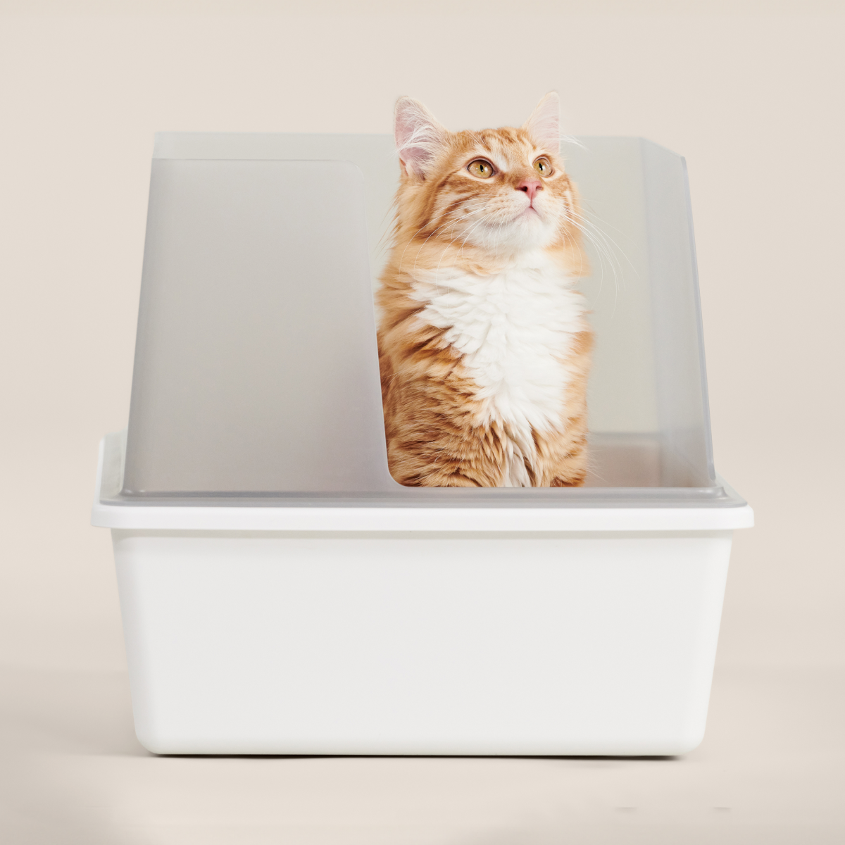 Cat Litter Box product image 6