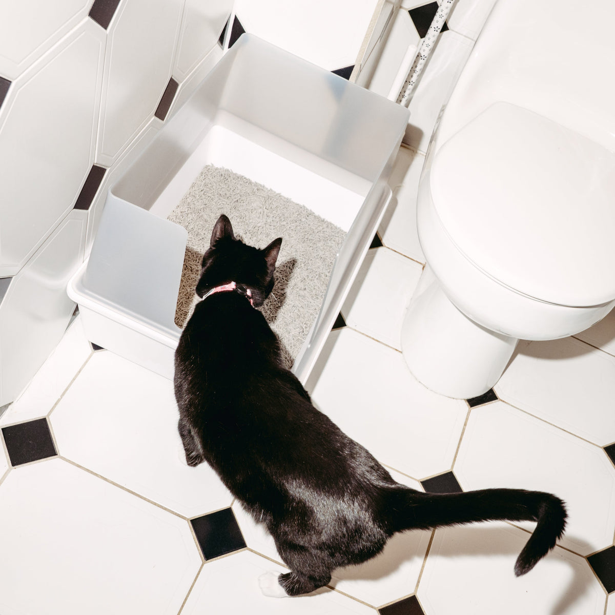 Cat Litter Box product image 7