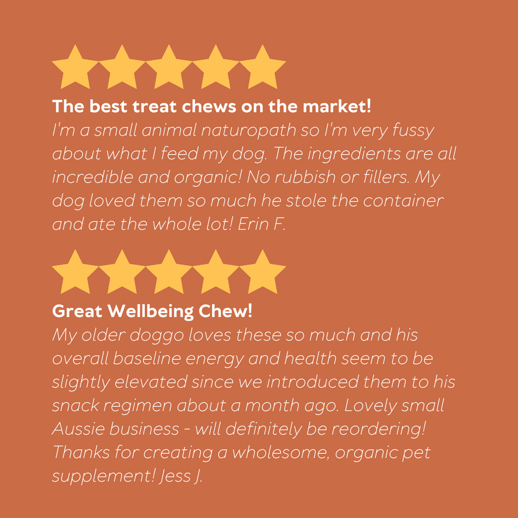 Dog Vitamin Supplement product image 5