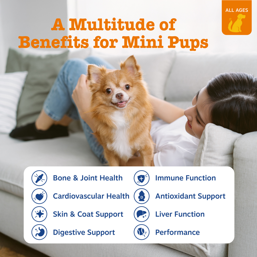 Dog Multivitamin Chews product image 3