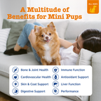 Dog Multivitamin Chews product image 3