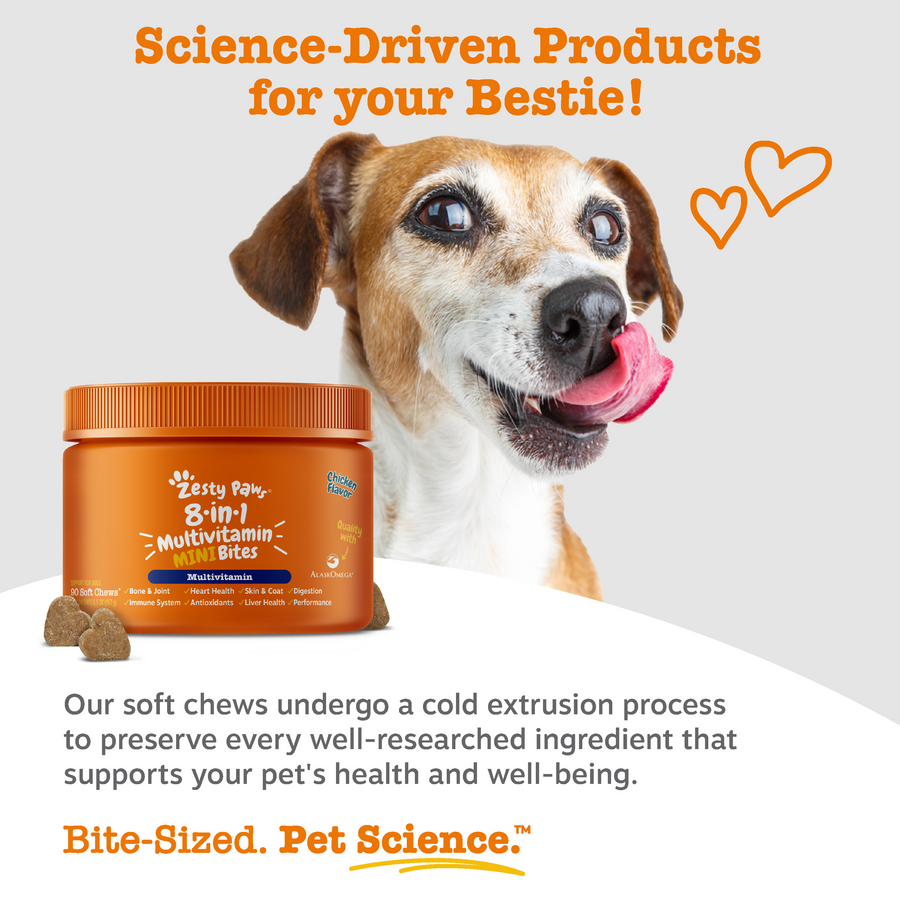 Dog Multivitamin Chews product image 6