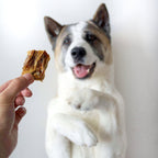 Cod Skin Dog Treat product image 4