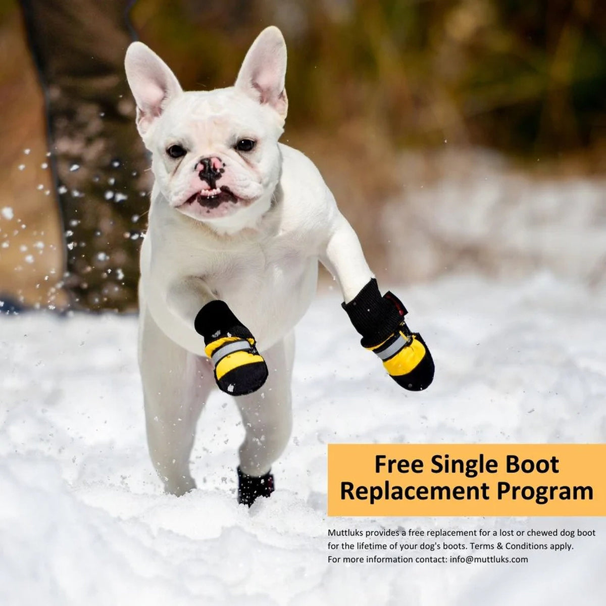 Dog Winter Boots product image 2
