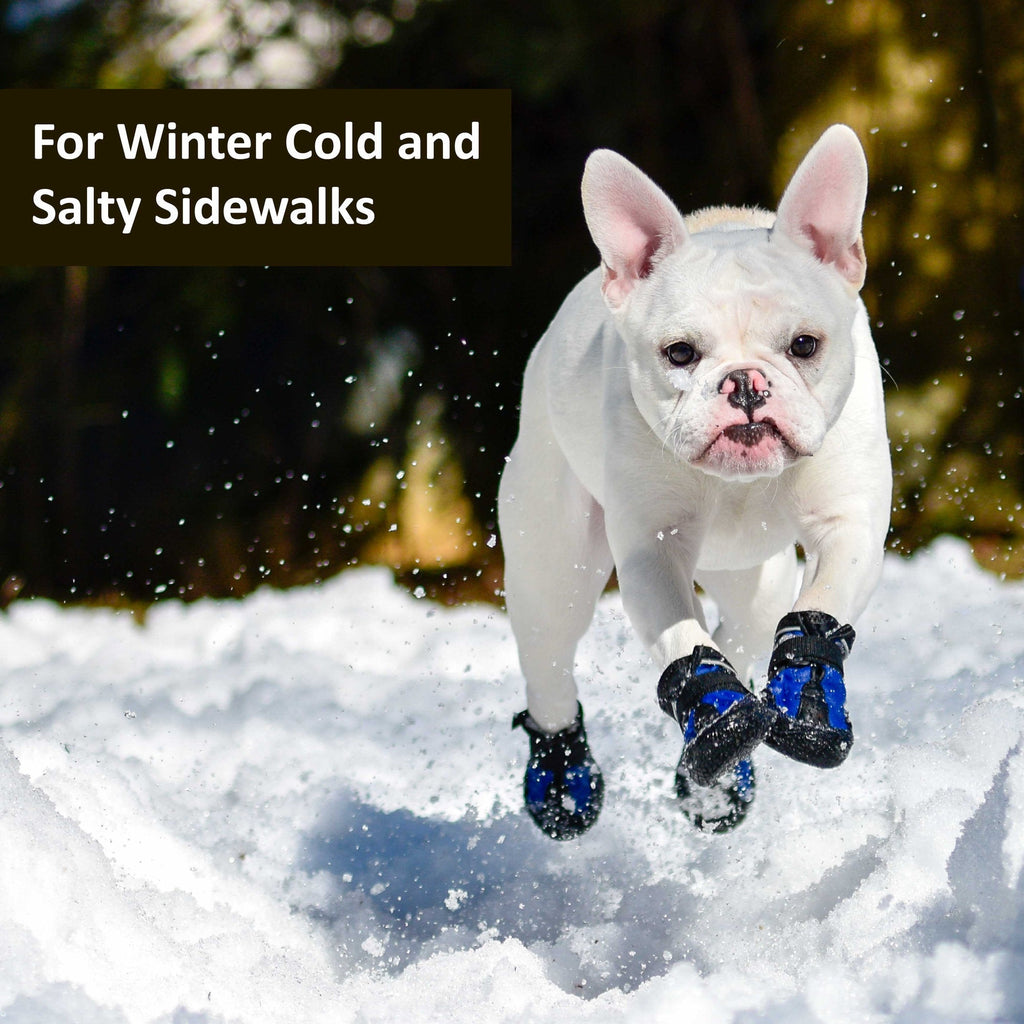 Dog Winter Boots product image 4