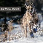 Dog Winter Boots product image 8