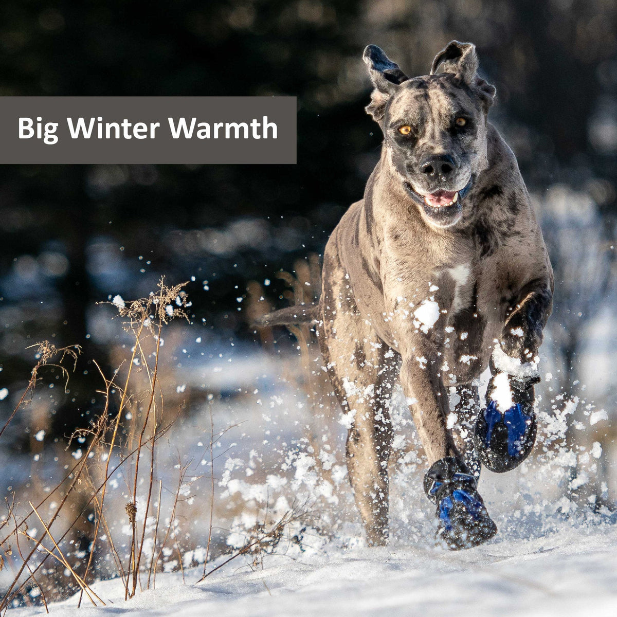 Dog Winter Boots product image 8