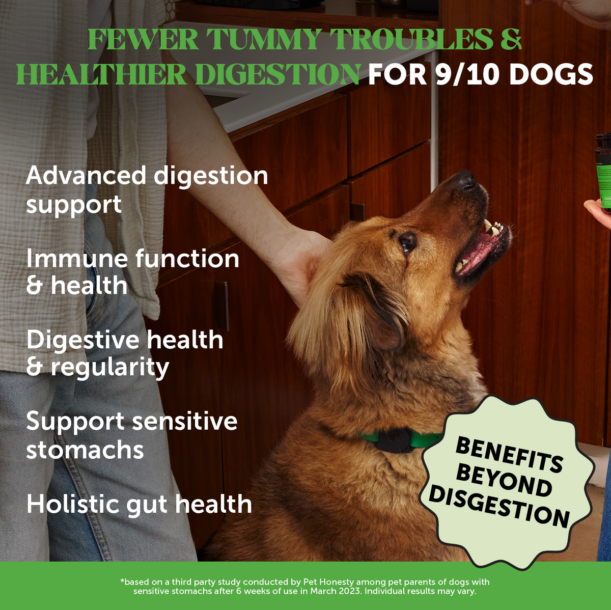 Dog Probiotic Chews product image 2