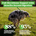 Dog Probiotic Chews product image 6