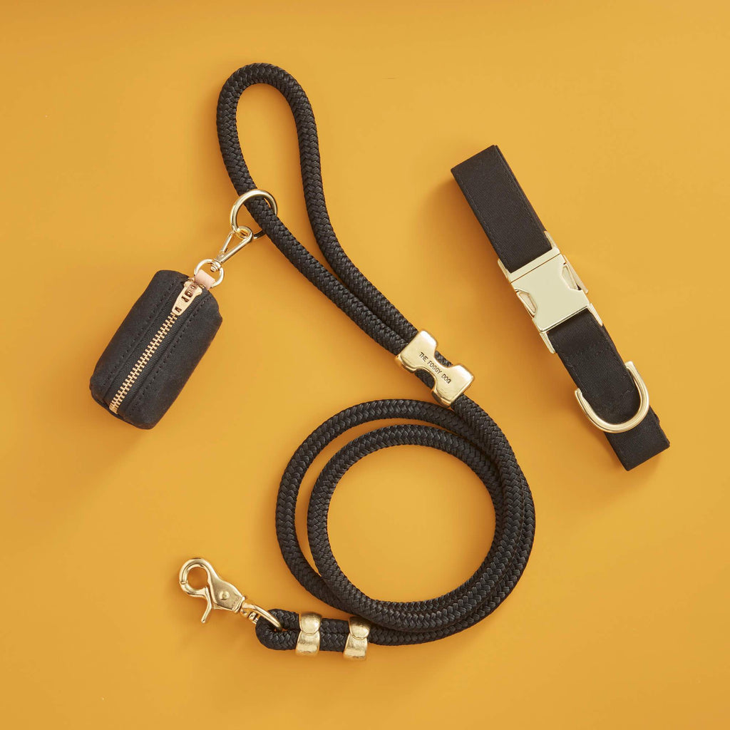 Dog Collar Walk Set product image 2