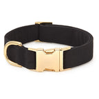 Dog Collar Walk Set product image 3