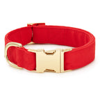 Dog Walk Set product image 3