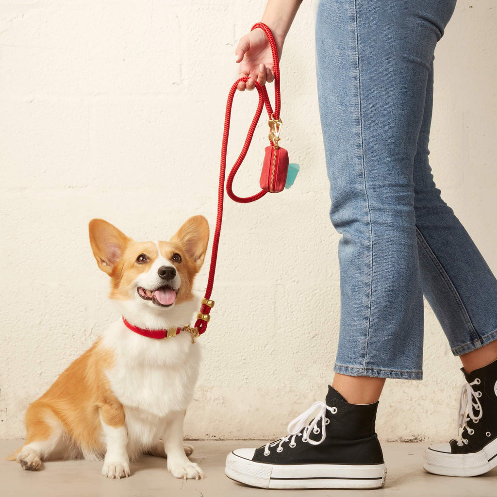 Dog Walk Set product image 4