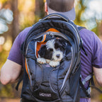Dog Carrier Backpack product image 3