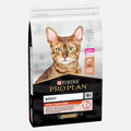 Dry Cat Food product image 1