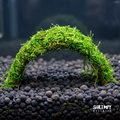 Christmas Moss Bridge product image 1