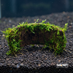 Christmas Moss Bridge product image 3