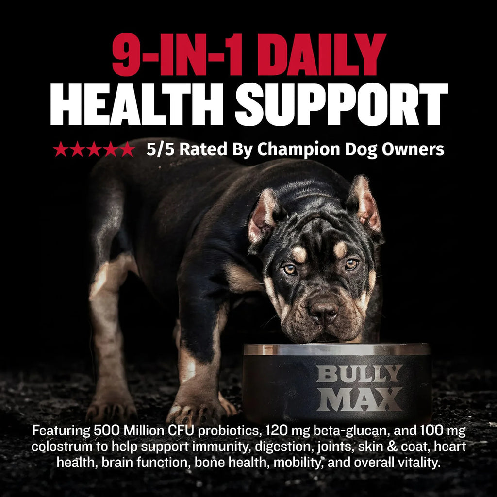 Nine in One Daily Dog Supplement Chews product image 4