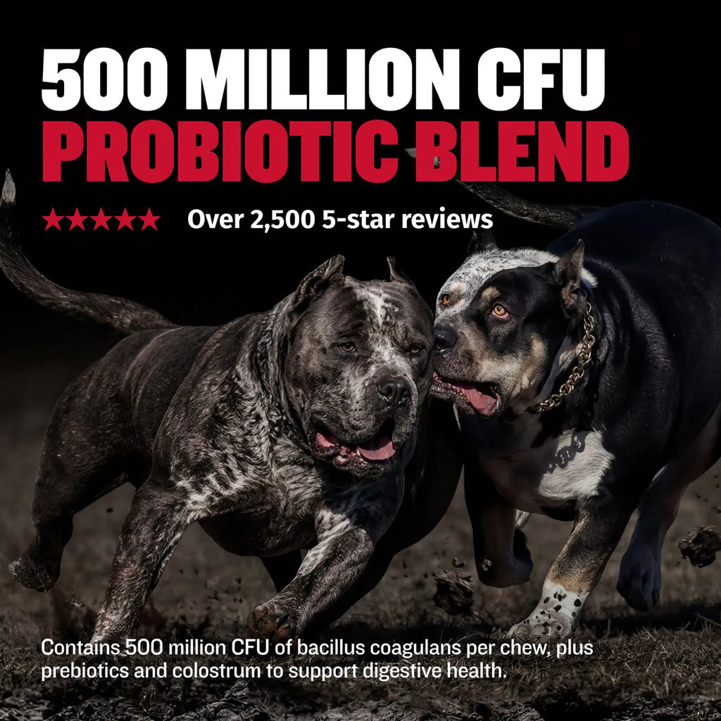 Nine in One Daily Dog Supplement Chews product image 5