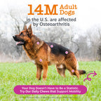 Dog Hip and Joint Soft Chews product image 2