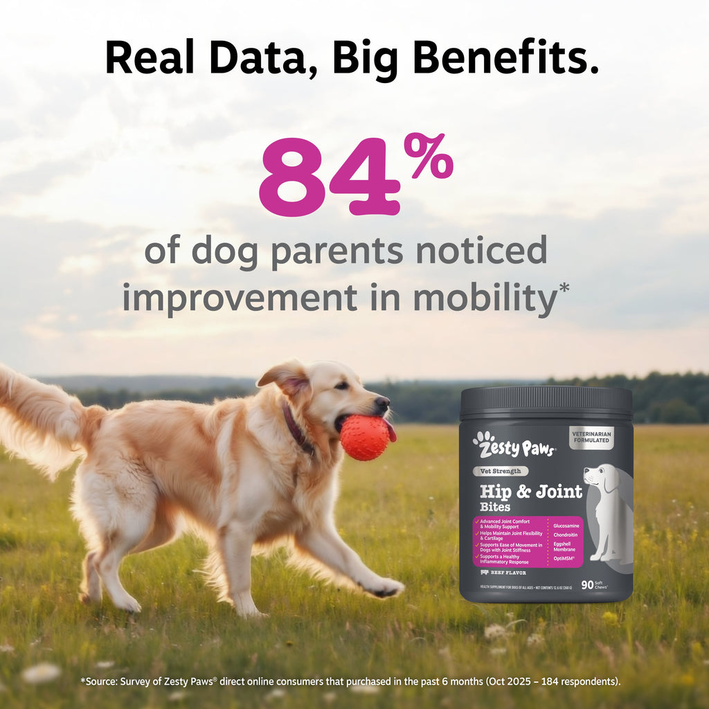 Dog Hip and Joint Soft Chews product image 4