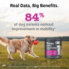 Dog Hip and Joint Soft Chews product image 4