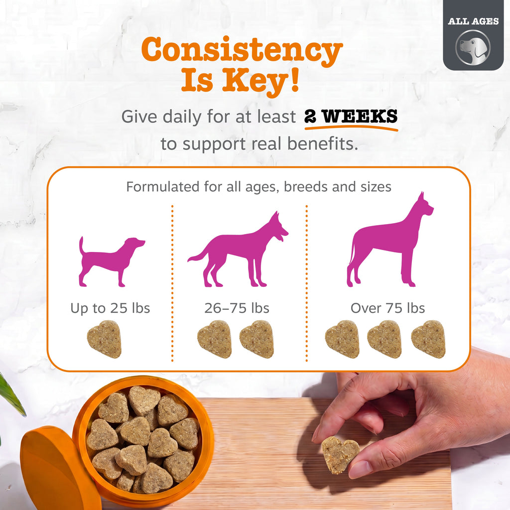 Dog Hip and Joint Soft Chews product image 7