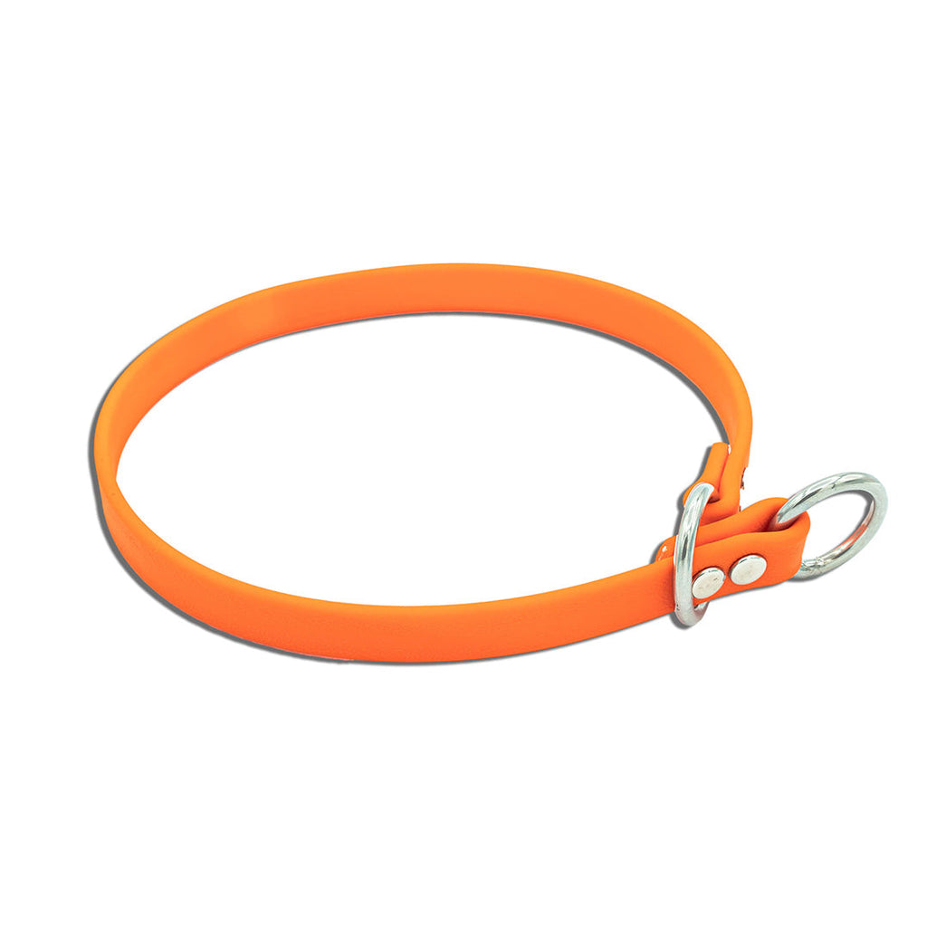 Slip Dog Collar product image 1