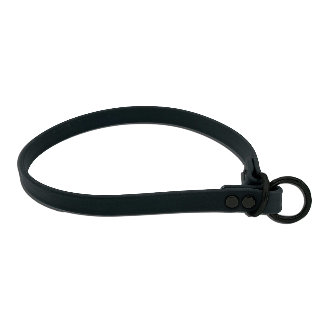 Slip Dog Collar product image 3