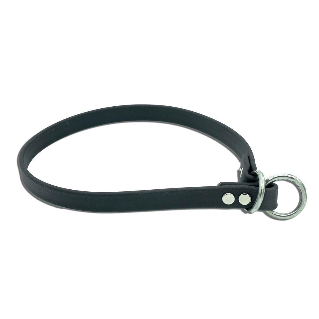 Slip Dog Collar product image 4