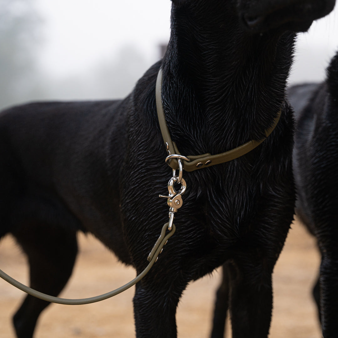 Slip Dog Collar product image 13