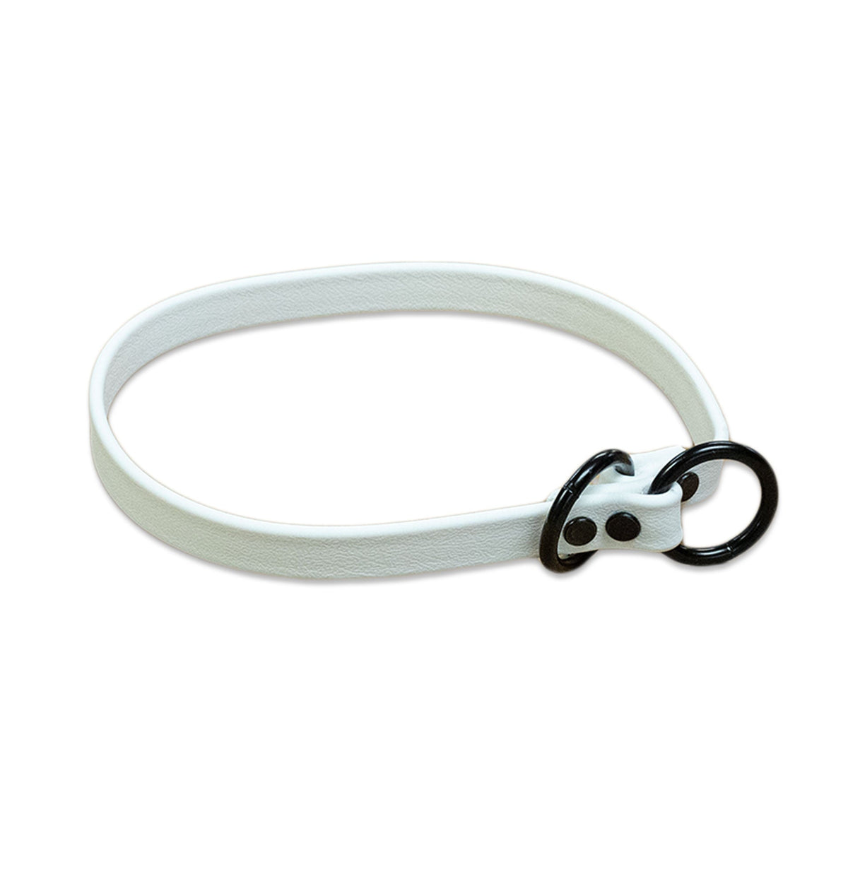 Slip Dog Collar product image 16
