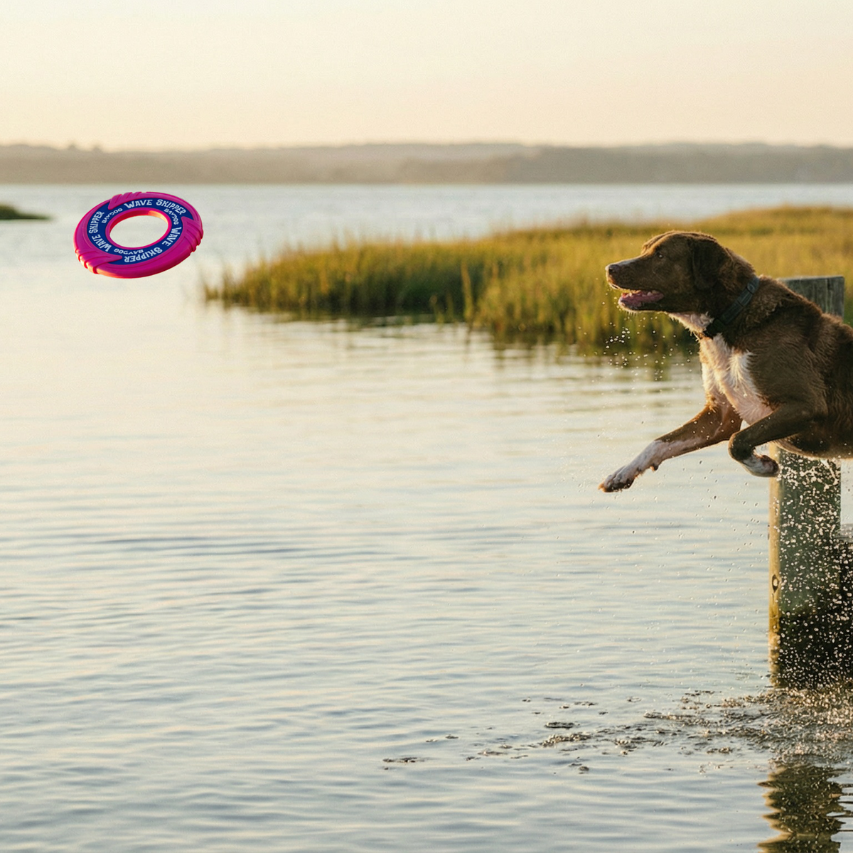 Dog Fetch Toy product image 2