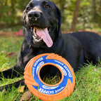 Dog Fetch Toy product image 10