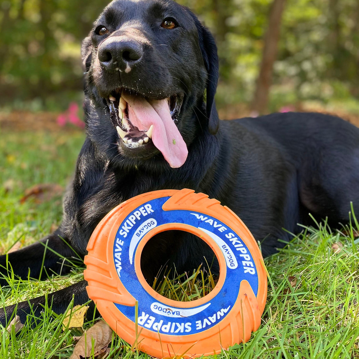 Dog Fetch Toy product image 10