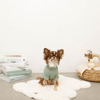 Dog High-Neck Top product image 6