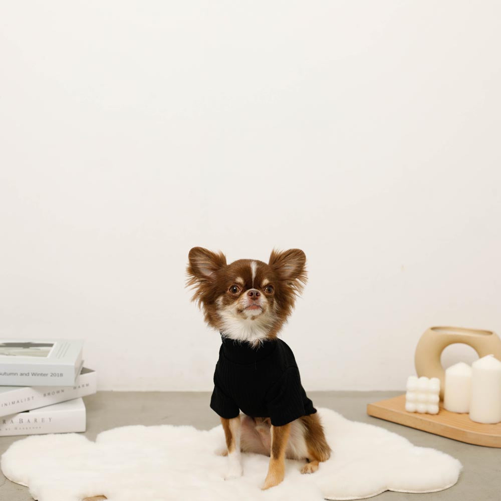 Dog High-Neck Top product image 10
