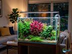 Live Aquarium Plant product image 4