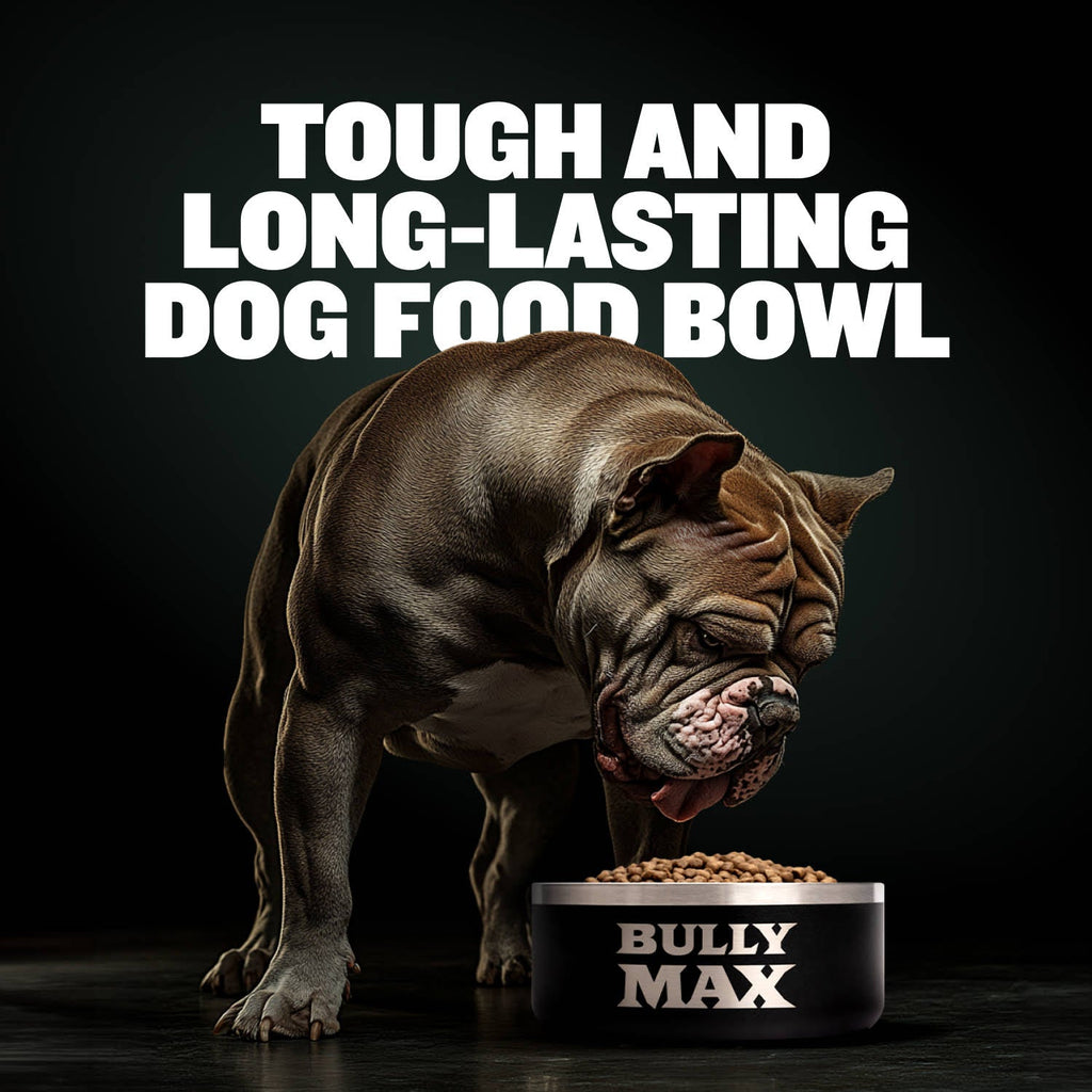 Heavy Duty Stainless Steel Dog Bowl product image 2