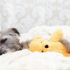 Calming Dog Treats product image 1
