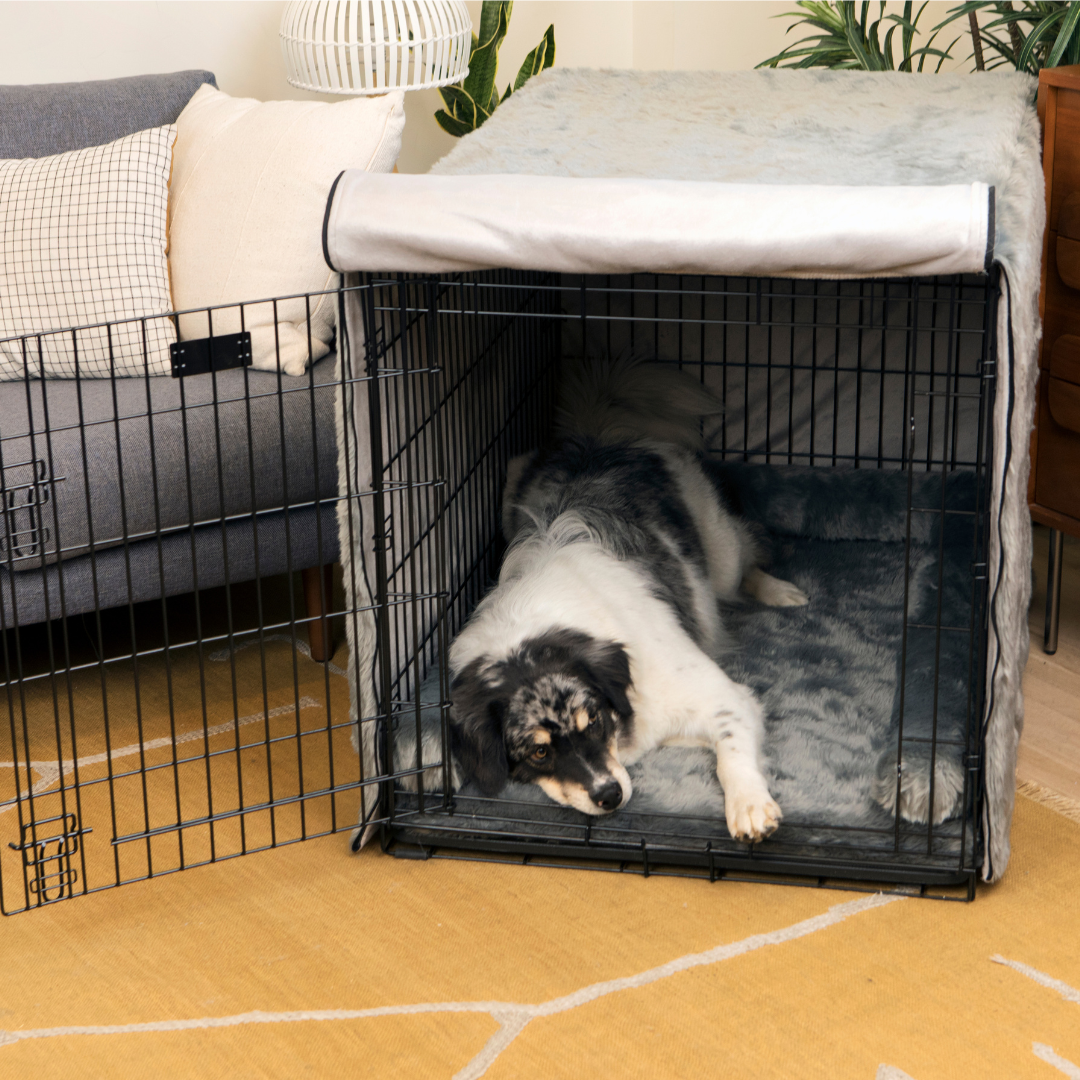 Dog Crate Kit product image 1