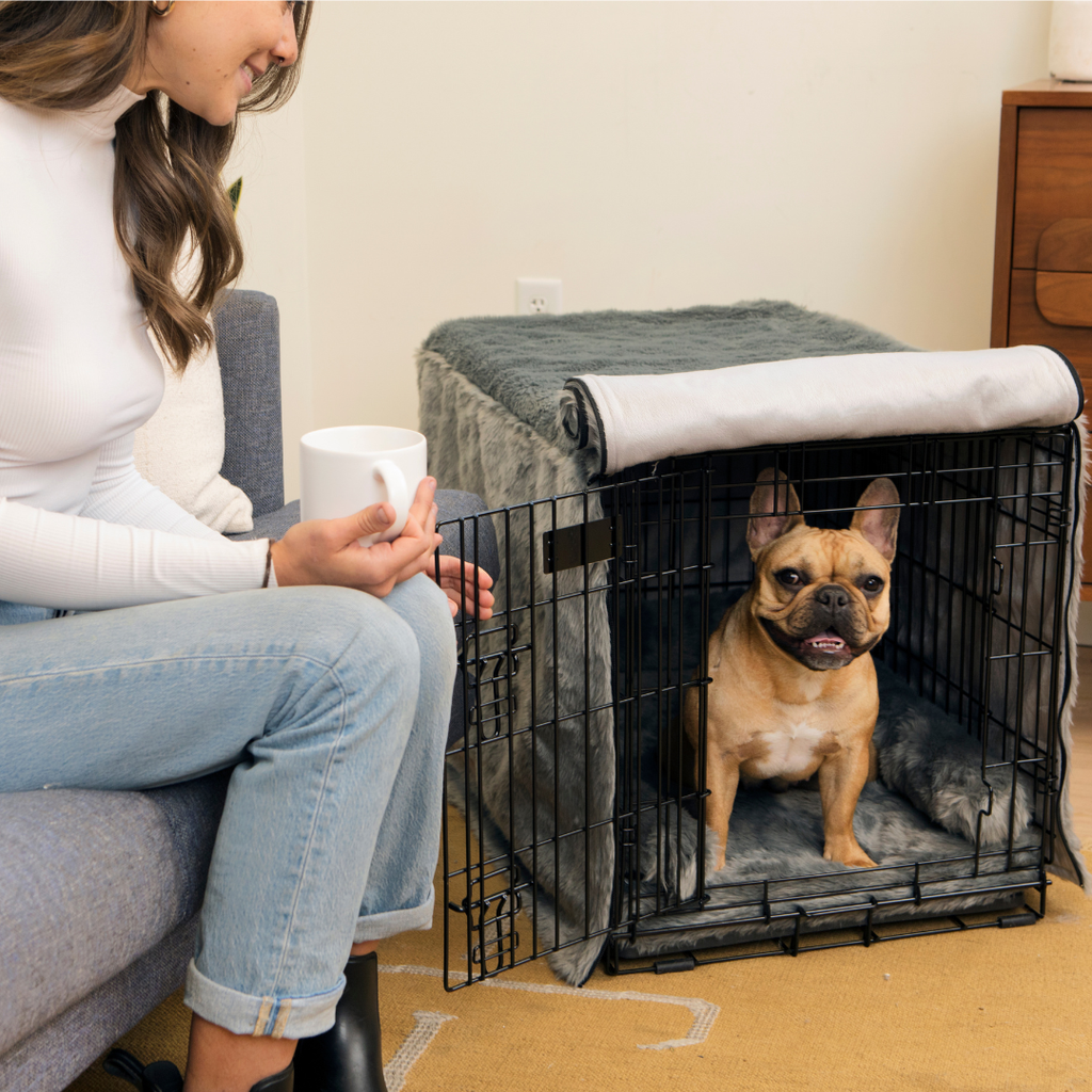 Dog Crate Kit product image 2