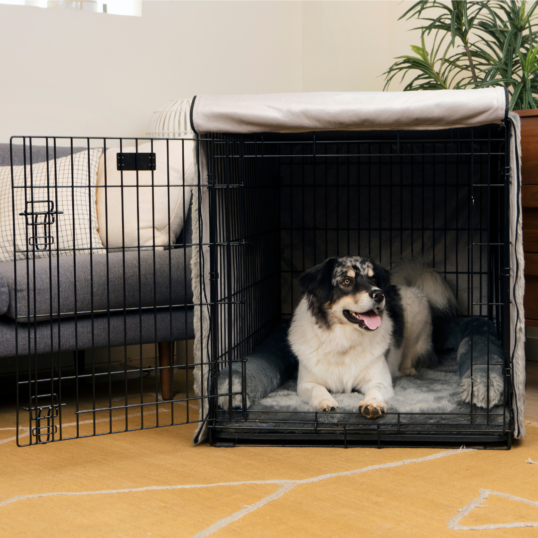 Dog Crate Kit product image 7