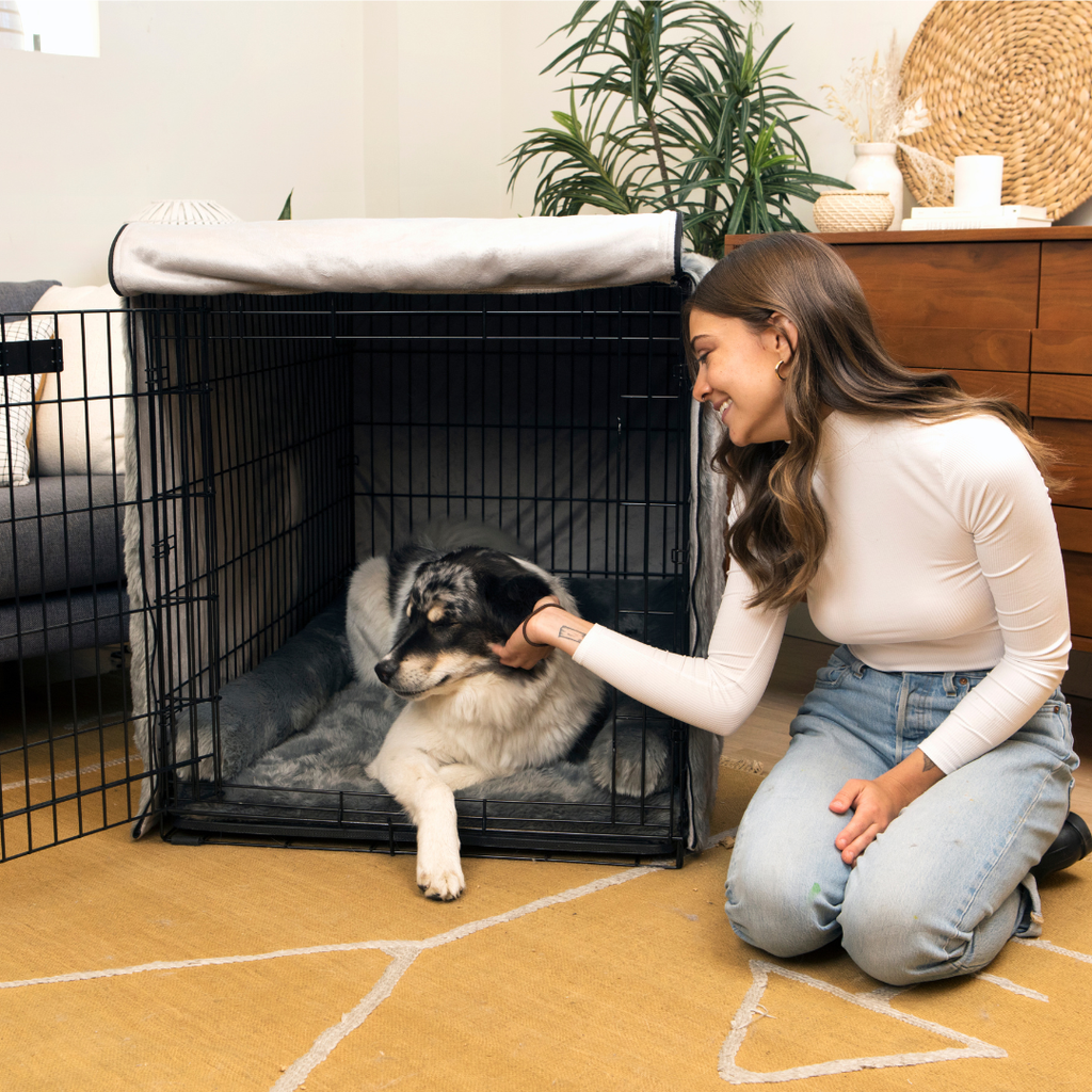 Dog Crate Kit product image 9