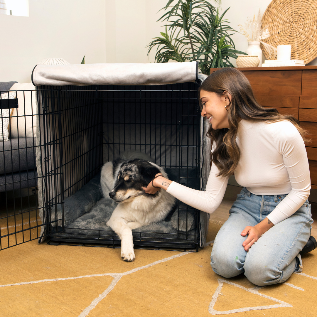 Dog Crate Kit product image 9