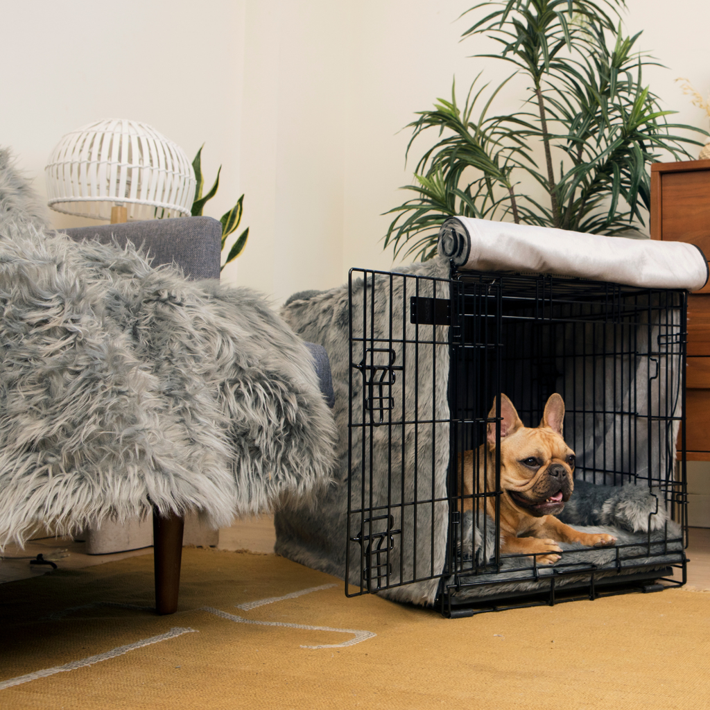 Dog Crate Kit product image 11