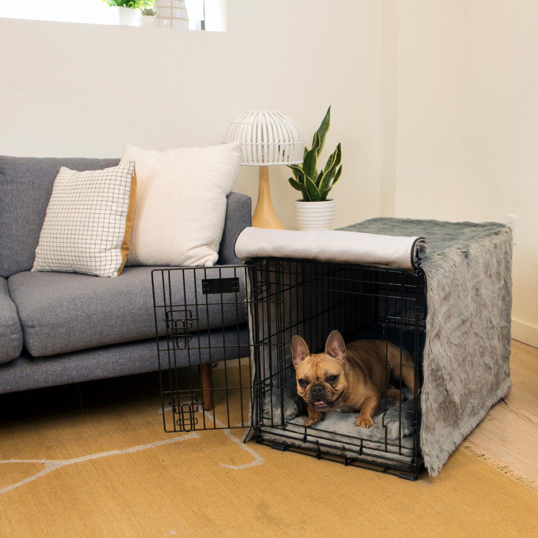 Dog Crate Kit product image 15
